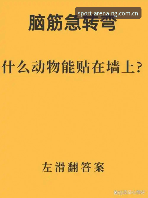 揭秘NG体育下载常见问题：你遇到的90%技术难题，答案都在这